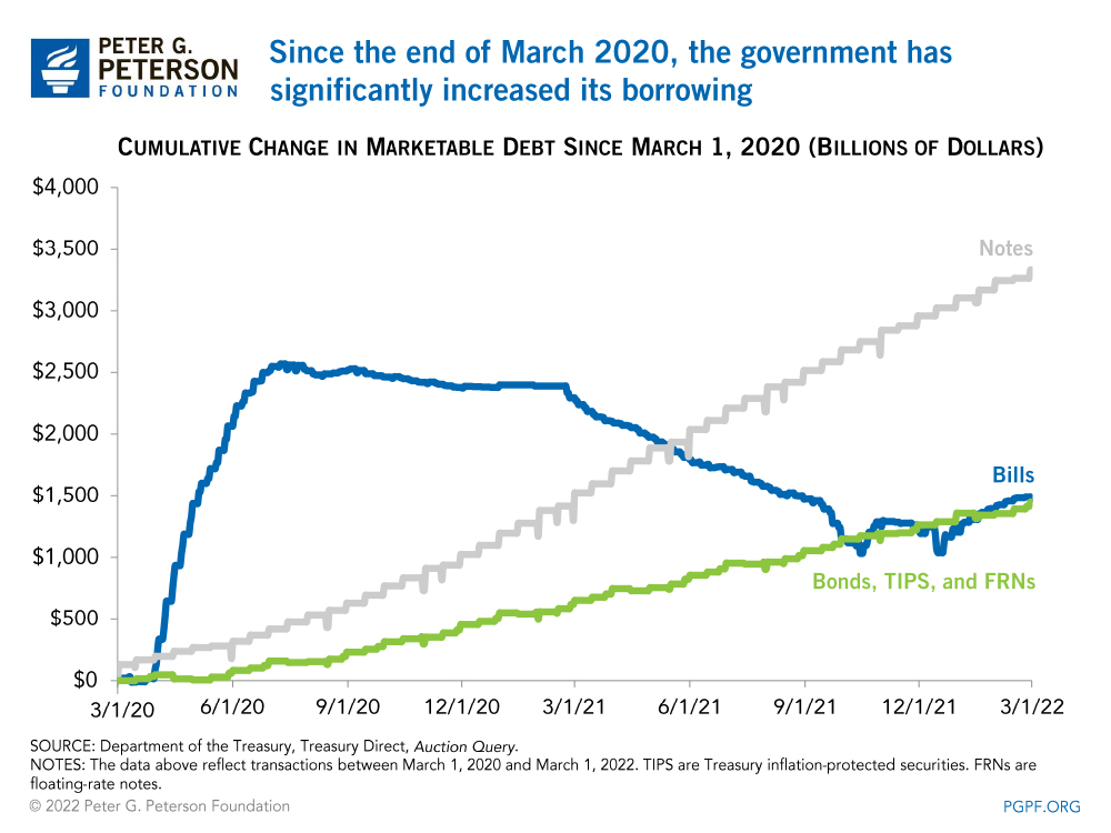Since the end of March 2020, the government has significantly increased its borrowing