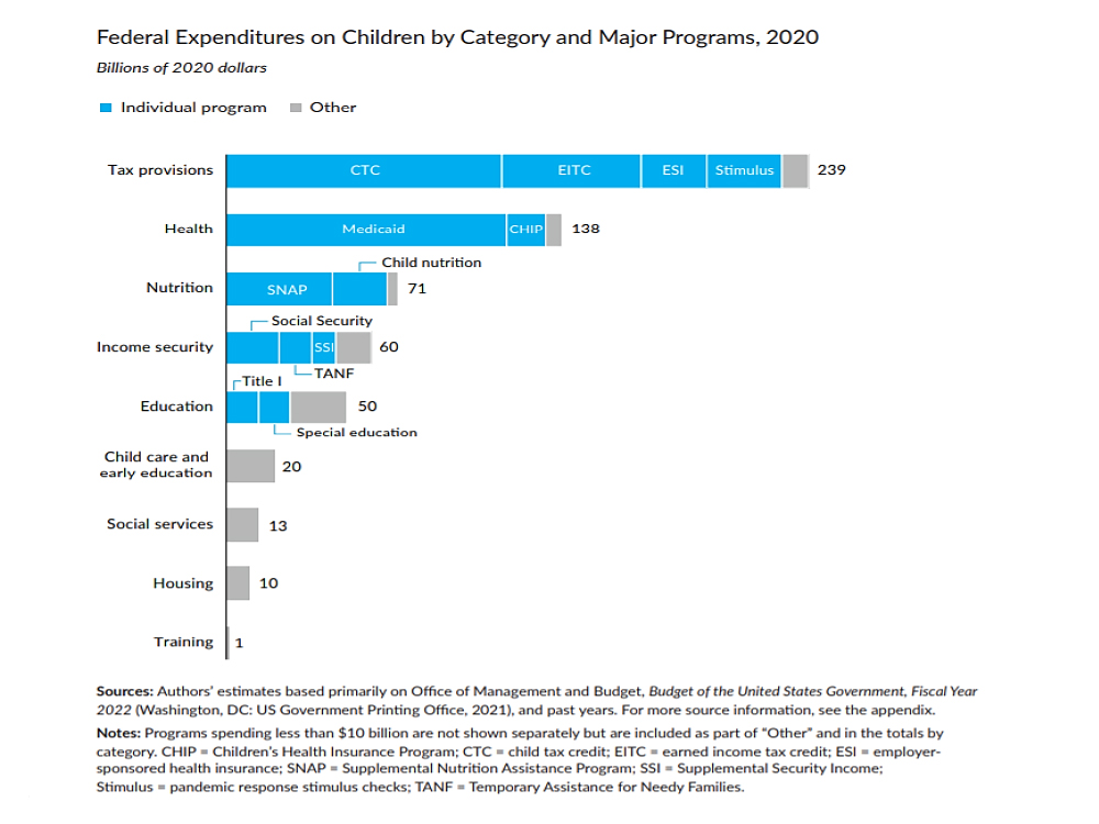 Federal Expenditures on Children by Category and Major Programs, 2020 