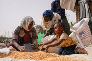 An aid worker distributes measured portions of yellow lentils