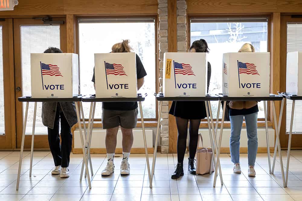 Voters in polling booths